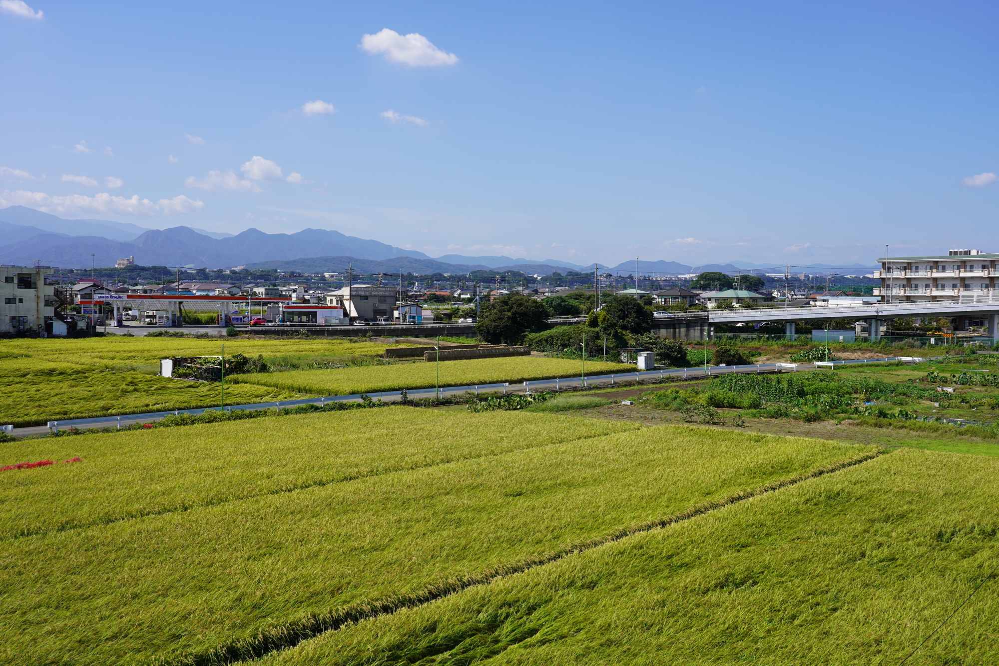 他社が断る農地や山林の査定反響!市街化調整区域案件の対応と見極め